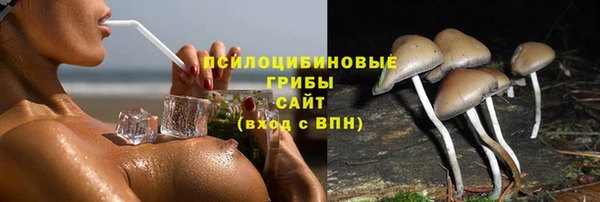 спиды Алексин