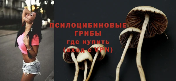 ALPHA-PVP Алексеевка