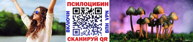 Галлюциногенные грибы MAGIC MUSHROOMS kraken зеркало Каргат